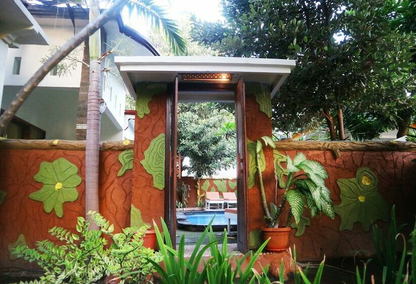 ویلای 1 خوابه, Susan Bungalow