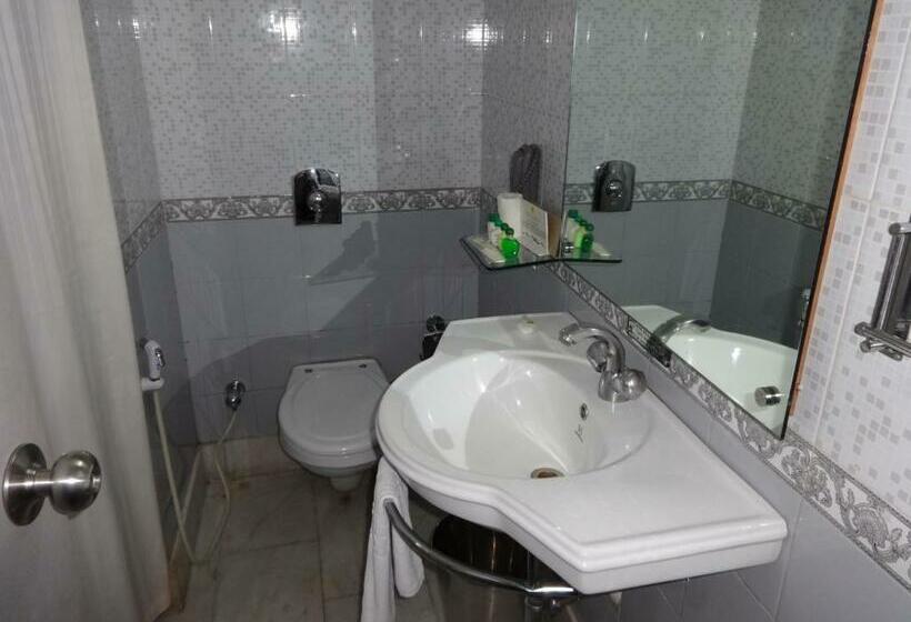 اتاق سوپریور با تخت بزرگ, Capitol Residency