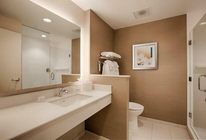 اتاق استاندارد با تخت بزرگ, Fairfield Inn & Suites By Marriott Clearwater Beach