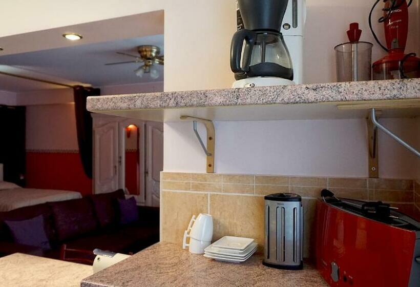 استودیوی لوکس, Aparthotel Résidence Bara Midi