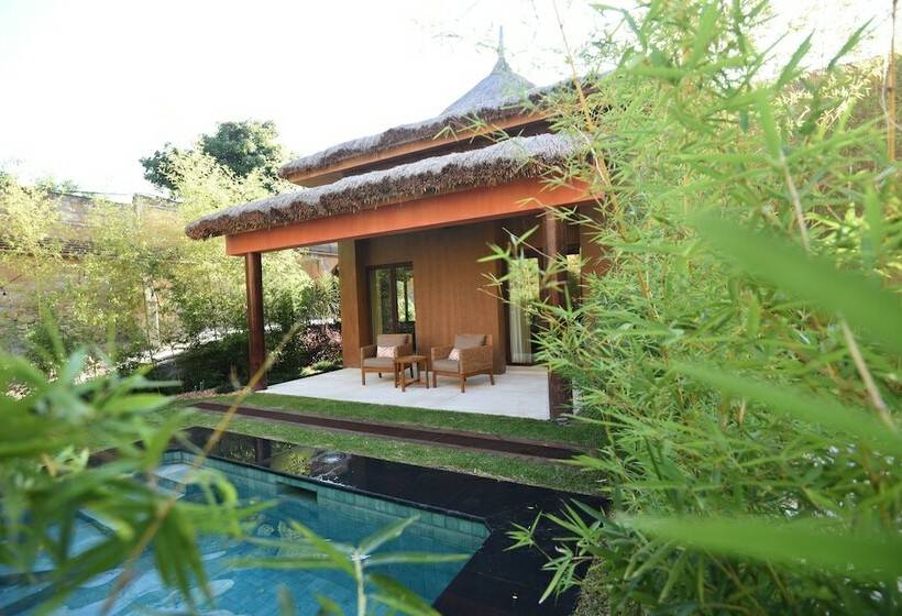 بانگلوی استاندارد, Soul Spring Sanctuary