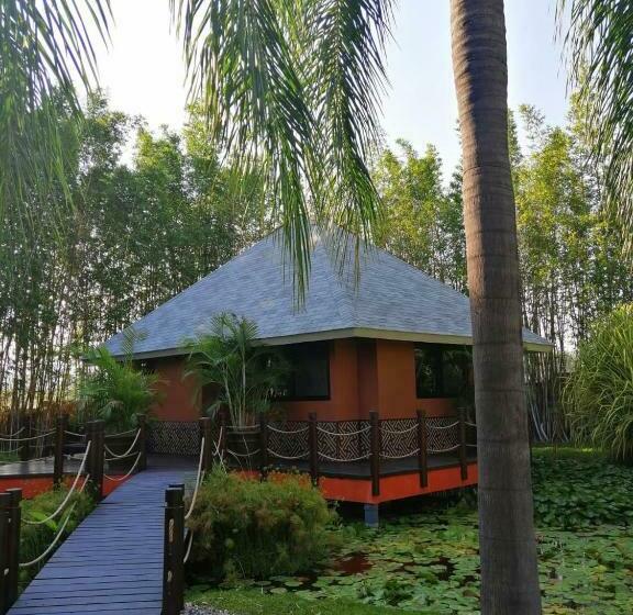 بانگلوی استاندارد, Soul Spring Sanctuary