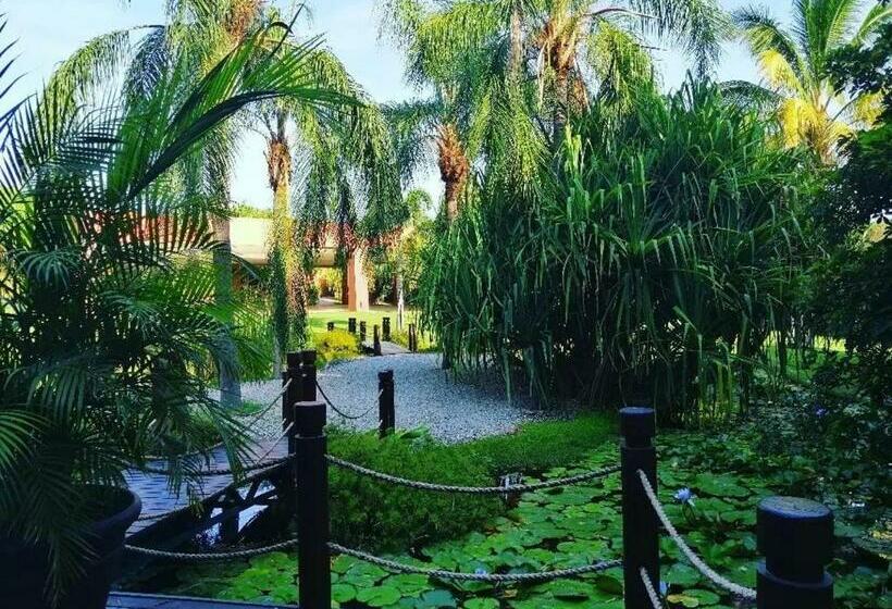 بانگلوی استاندارد, Soul Spring Sanctuary