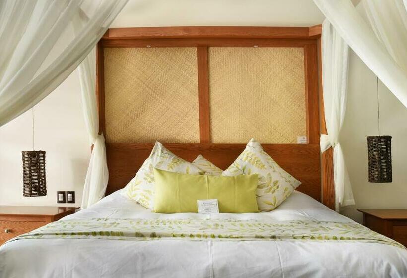 اتاق استاندارد با تخت بزرگ, Soul Spring Sanctuary