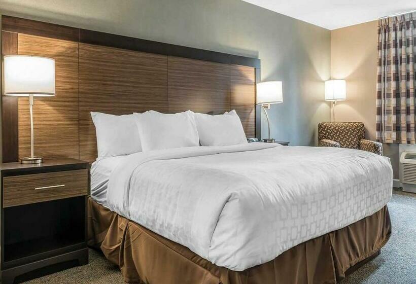 اتاق استاندارد با تخت بزرگ, Clarion Inn