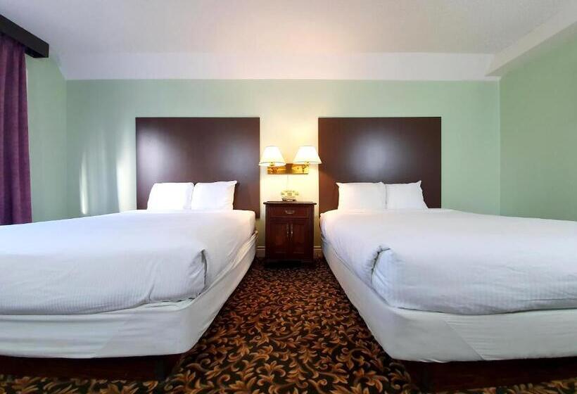 اتاق اکونومی, Cloud 9 Inn