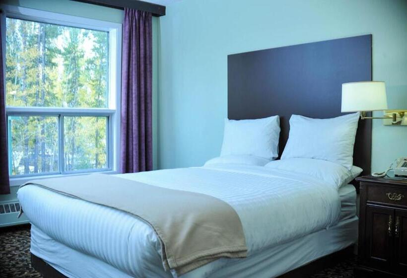 اتاق استاندارد با تخت دو نفره بزرگ, Cloud 9 Inn