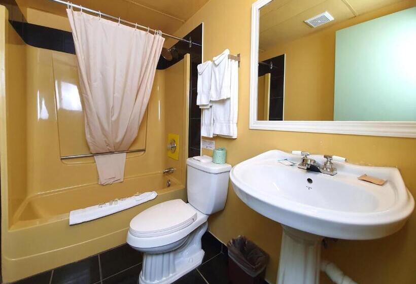 اتاق استاندارد با تخت دو نفره بزرگ, Cloud 9 Inn