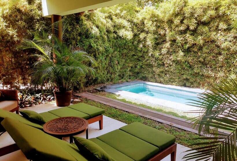 سوئیت با تخت بزرگ, Soul Spring Sanctuary