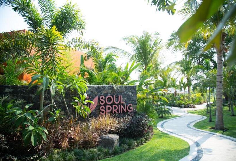 اتاق استاندارد با تخت بزرگ, Soul Spring Sanctuary