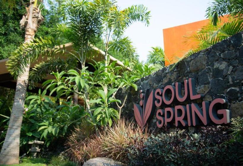 اتاق استاندارد با 2 تخت دوبل, Soul Spring Sanctuary