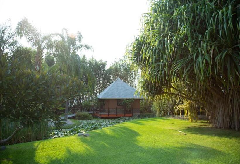 بانگلوی استاندارد, Soul Spring Sanctuary