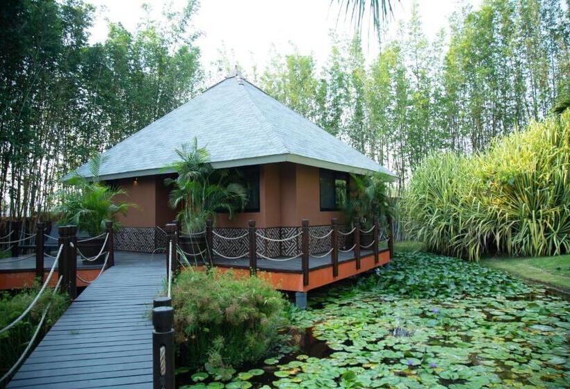 بانگلوی استاندارد, Soul Spring Sanctuary