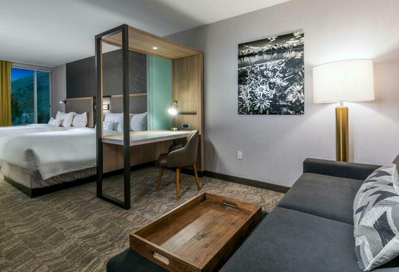سوئیت با تخت بزرگ, Springhill Suites By Marriott Jackson Hole