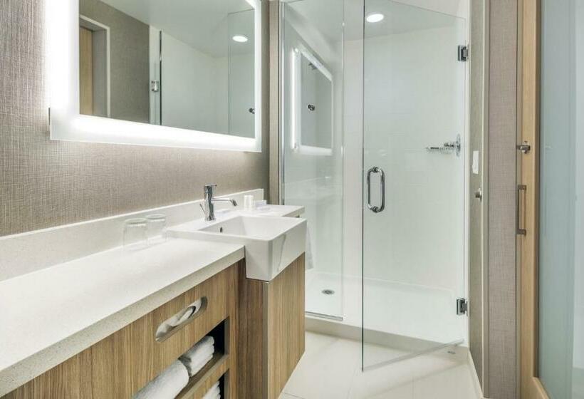 سوئیت با تخت بزرگ, Springhill Suites By Marriott Jackson Hole