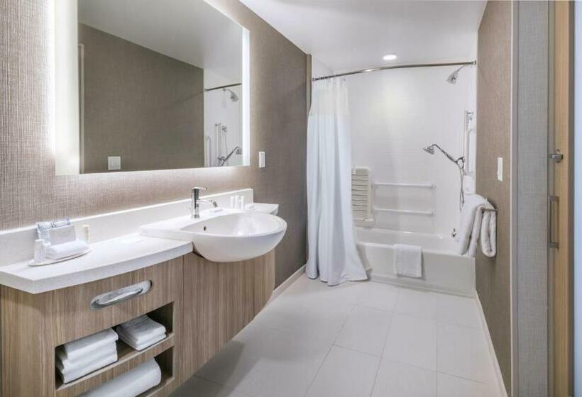 سوئیت با تخت بزرگ, Springhill Suites By Marriott Jackson Hole