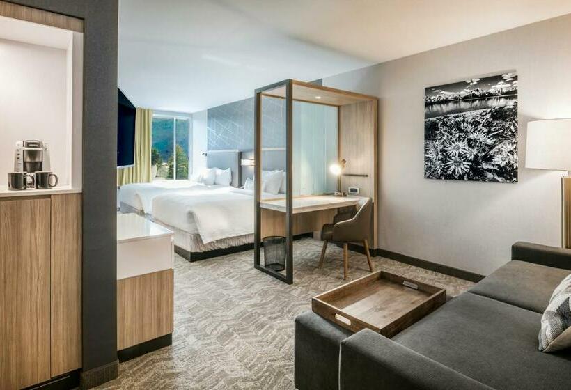 سوییت, Springhill Suites By Marriott Jackson Hole