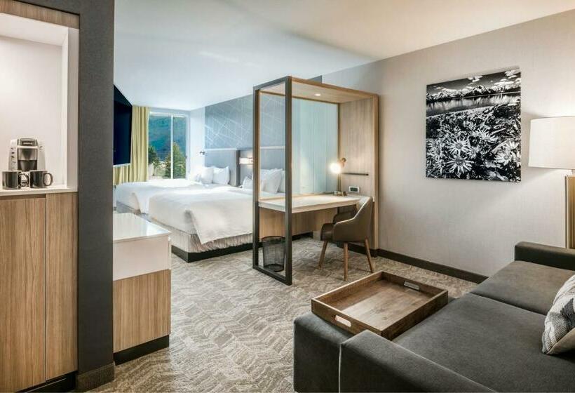 سوییت, Springhill Suites By Marriott Jackson Hole