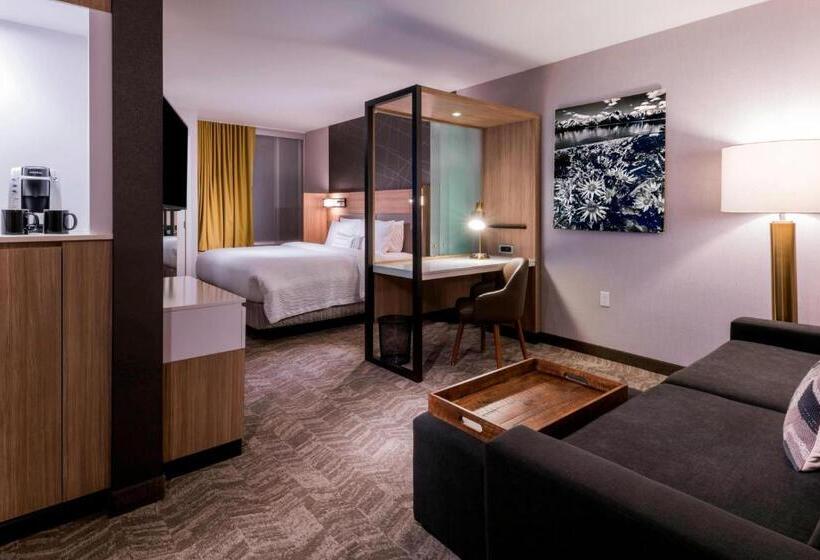 سوئیت با تخت بزرگ, Springhill Suites Jackson Hole