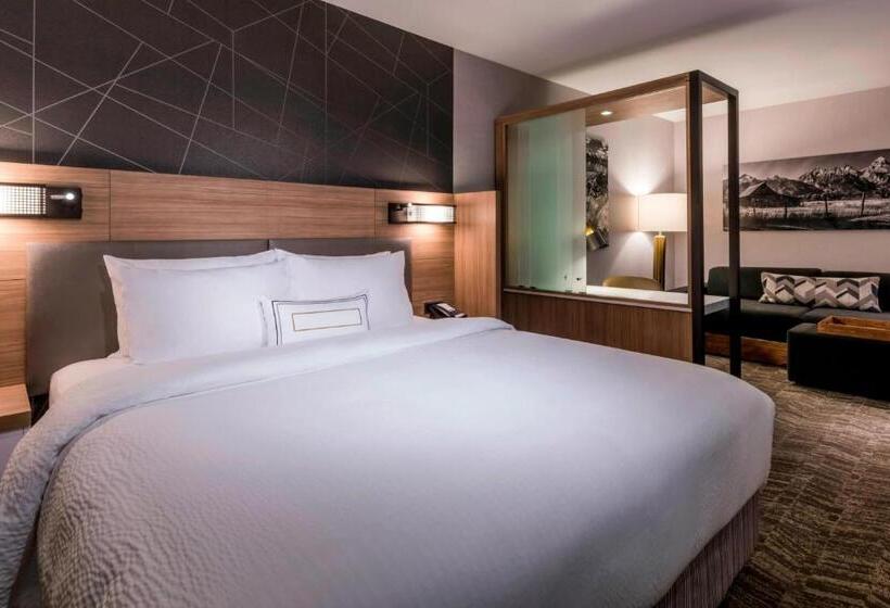 سوئیت با تخت بزرگ, Springhill Suites By Marriott Jackson Hole