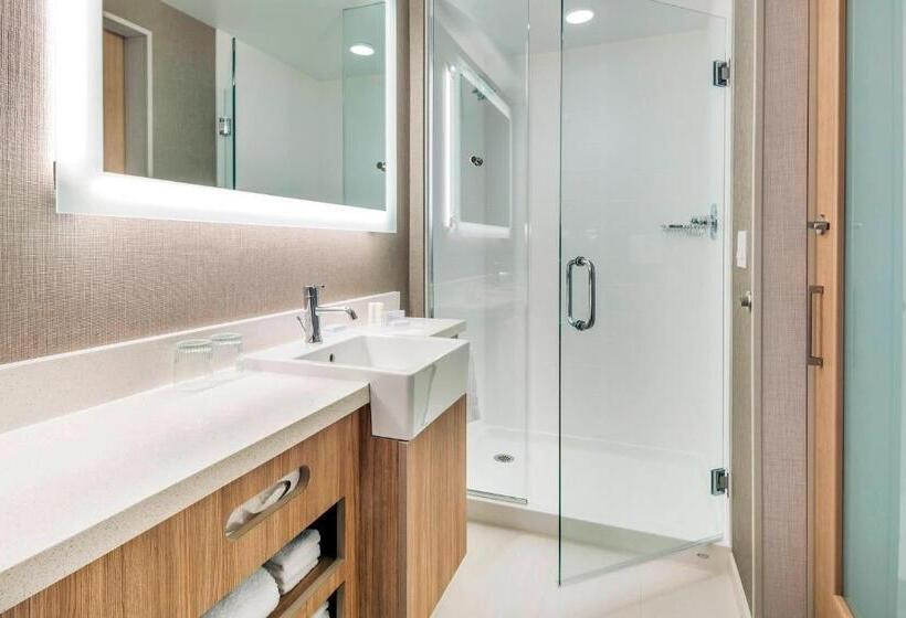 استودیو استاندارد با تخت کینگ, Springhill Suites By Marriott Jackson Hole