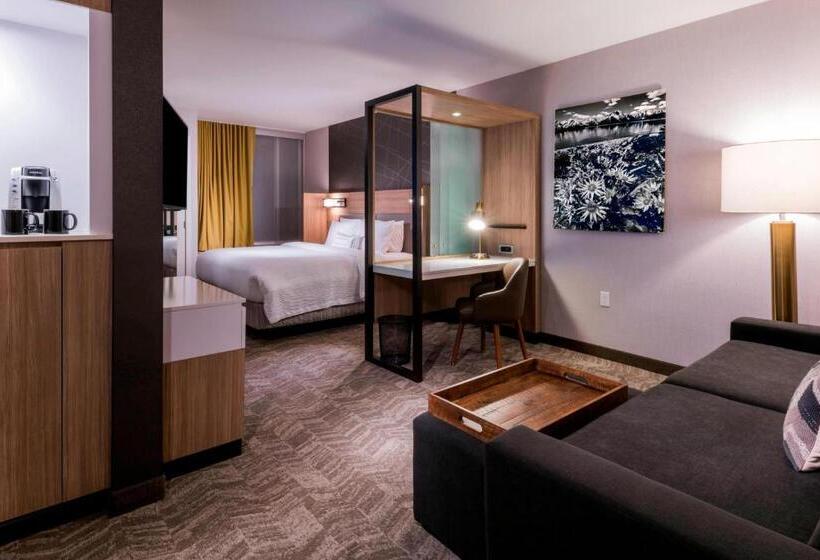 استودیو استاندارد با تخت کینگ, Springhill Suites By Marriott Jackson Hole