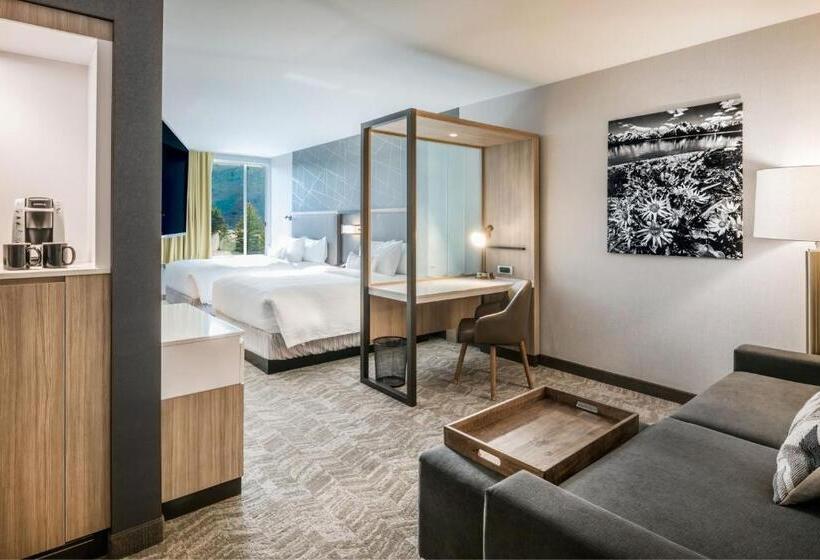 سوئیت برای معلولان, Springhill Suites By Marriott Jackson Hole