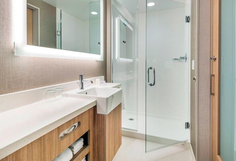 سوئیت برای معلولان, Springhill Suites By Marriott Jackson Hole