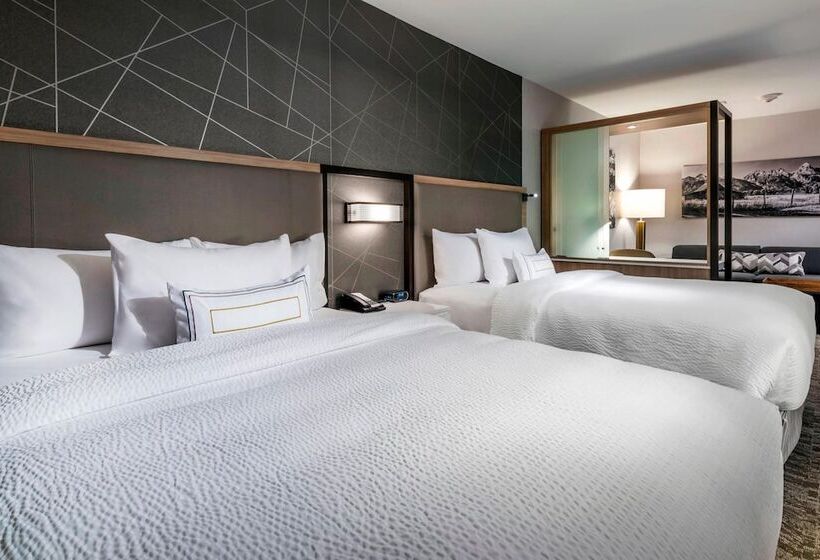 سوئیت برای معلولان, Springhill Suites By Marriott Jackson Hole