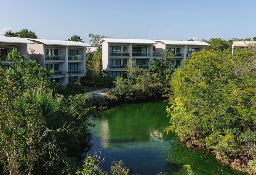 Cameră Standard Pat Matrimonial, Andaz Mayakoba Resort Riviera Maya