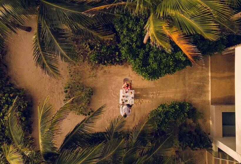 استودیوی استاندارد, Andaz Mayakoba Resort Riviera Maya, By Hyatt