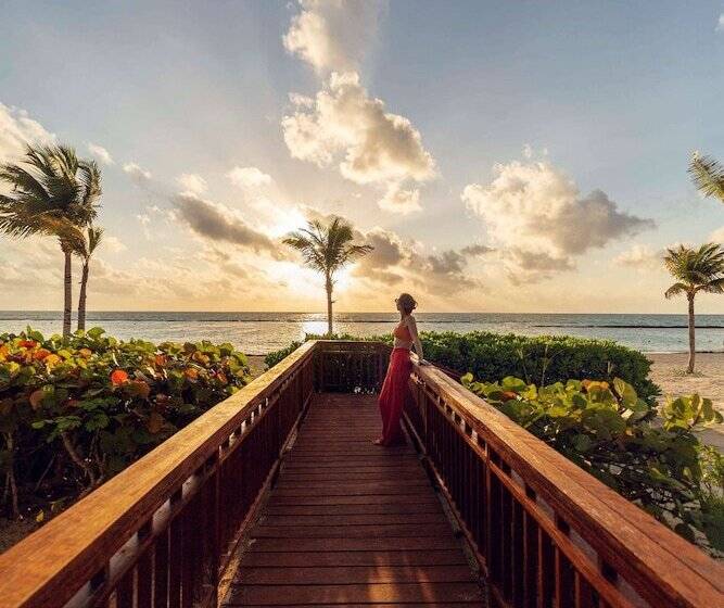 Cameră Standard Pat Matrimonial, Andaz Mayakoba Resort Riviera Maya