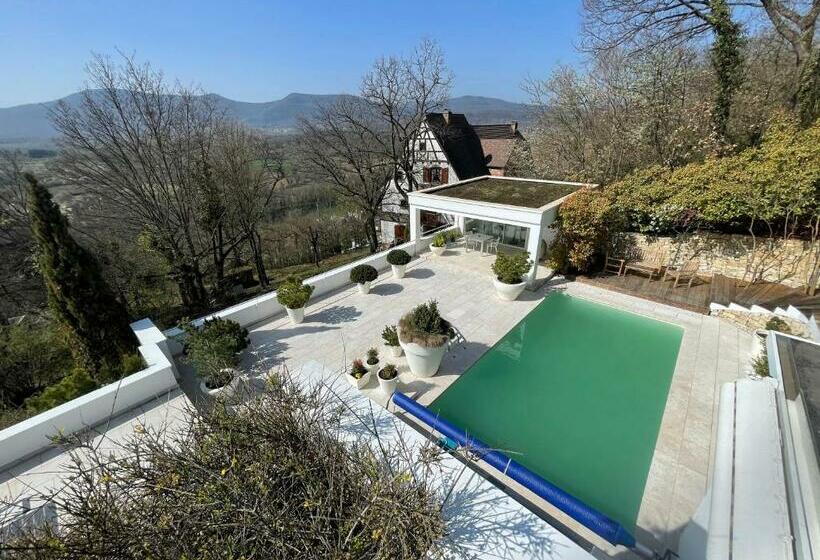 اتاق استاندارد با تخت بزرگ, La Villa Haute Corniche