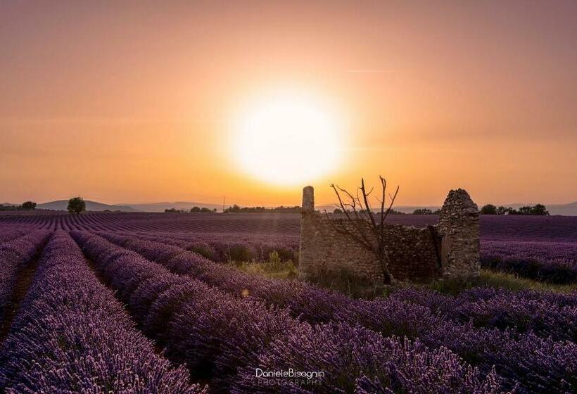 اتاق استاندارد با چشم‌انداز استخر, Les Terrasses De Valensole