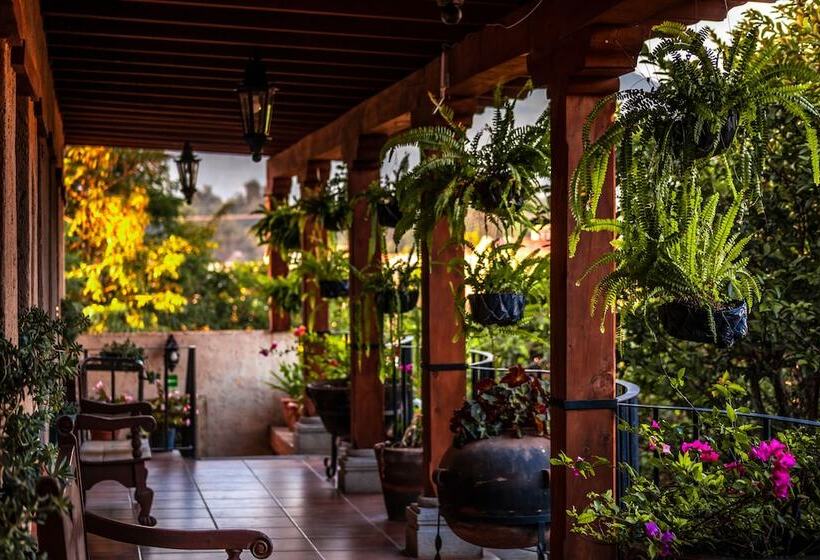 اتاق استاندارد چهار تخته, Naif Boutique