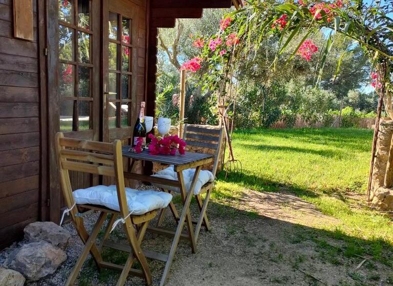 بانگلوی استاندارد, Agroturismo Can Marquet   Adults Only