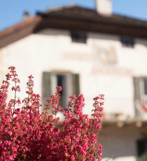 اتاق استاندارد یک تخته با بالکن, Angerburg Blumen