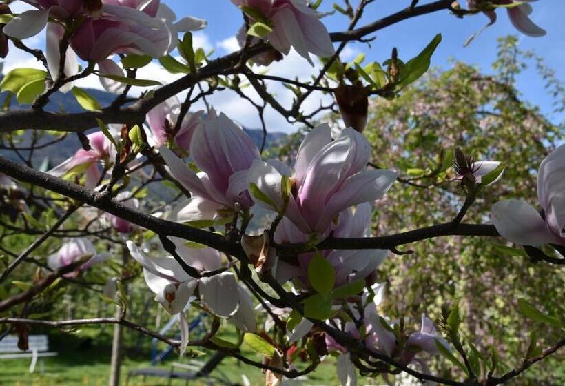 اتاق استاندارد, Angerburg Blumen