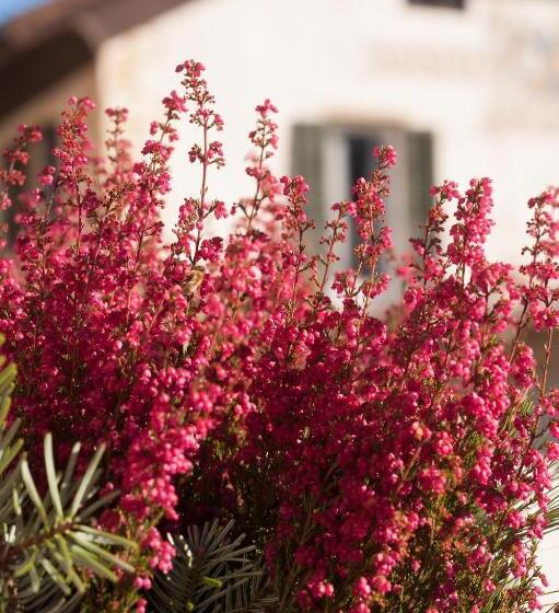 اتاق استاندارد, Angerburg Blumen