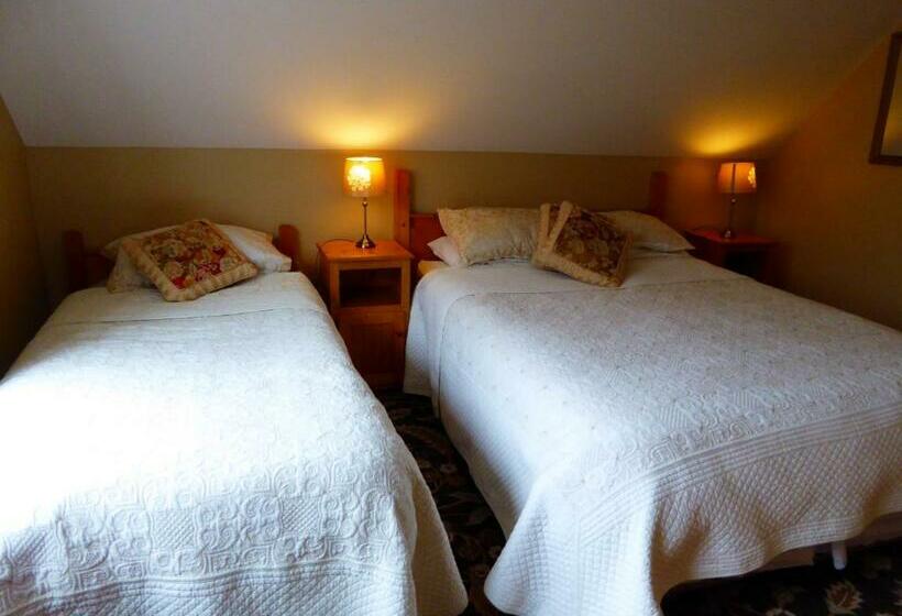 اتاق راحتی سه تخته, Camillaun Lodge With Lough Corrib Boat Hire
