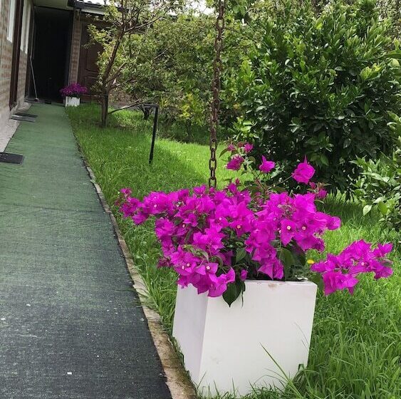 اتاق استاندارد سه نفره, Springhills Quito Airport