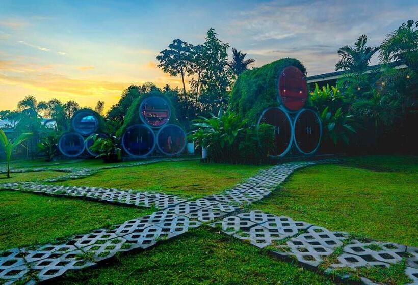 اتاق استاندارد, Arenal Backpackers Resort