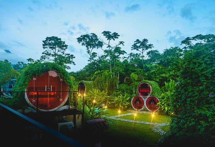 اتاق استاندارد, Arenal Backpackers Resort