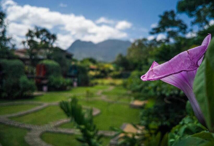 اتاق استاندارد, Arenal Backpackers Resort