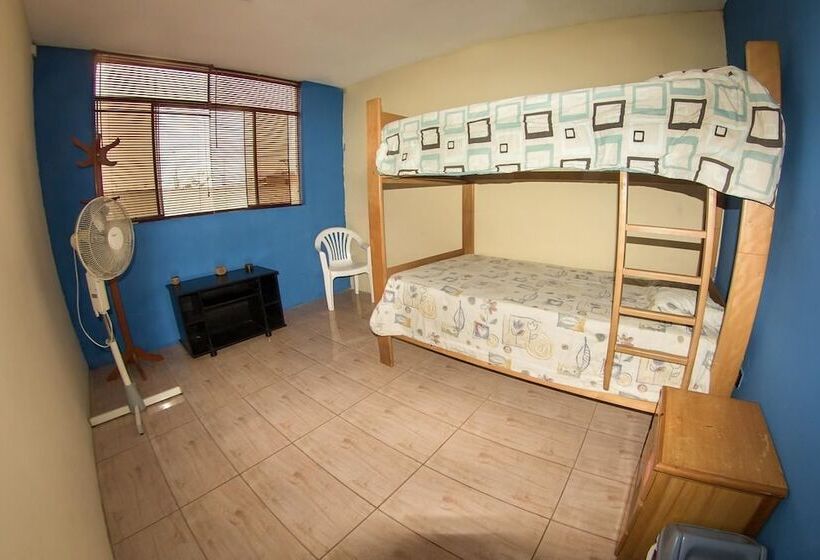 تختخواب در اتاق مشترک, Bravo Surf Camp