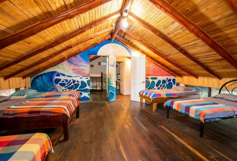 تختخواب در اتاق مشترک, Playa Grande Surf Camp