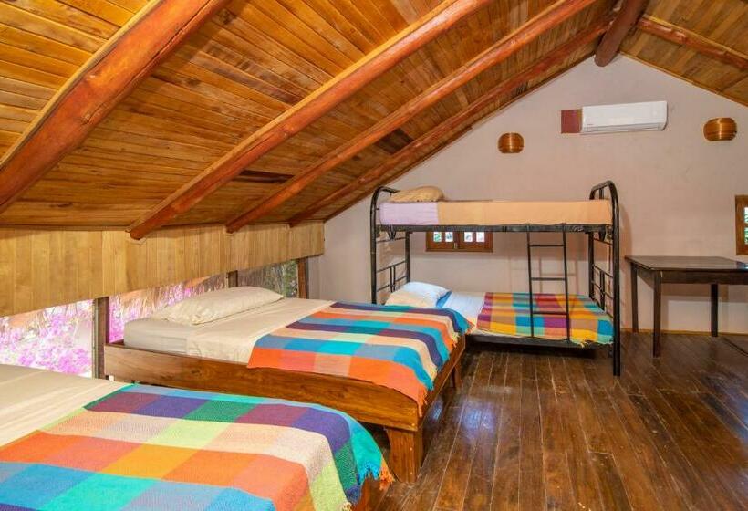 تختخواب در اتاق مشترک, Playa Grande Surf Camp