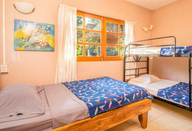 آپارتمان 2 خوابه, Playa Grande Surf Camp