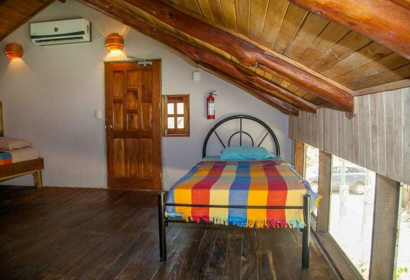 تختخواب در اتاق مشترک, Playa Grande Surf Camp