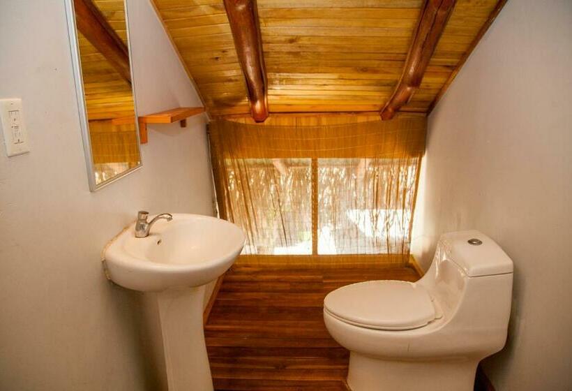 تختخواب در اتاق مشترک, Playa Grande Surf Camp